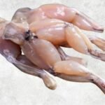 Frozen Frog Legs Classic Style