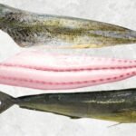 Frozen Mahi Mahi Fillet Skin On And Skinless