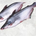 Frozen Whole Round Pangasius (Swai Fish)