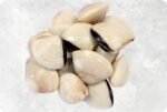 Frozen Cooked Whole Shell White Clam