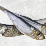 Dried Boiled Herring Sardine