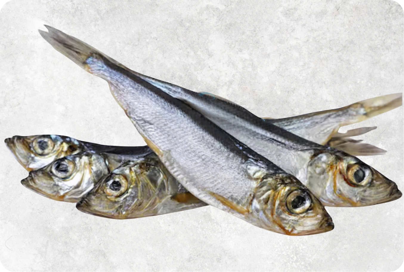 Dried Boiled Herring Sardine Dried Boiled Herring Sardine - Image 1