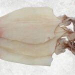 Dried Loligo Squid