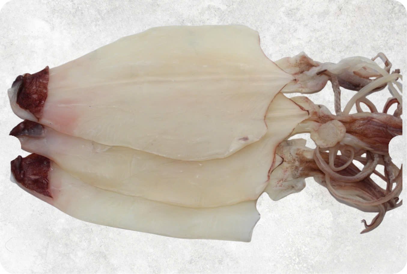 Dried Loligo Squid Dried Loligo Squid - Image 1