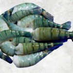 Frozen Raw Hlso, Hlso Ezp And Butterfly Scampi Shrimp