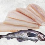 Frozen Alaska Pollock