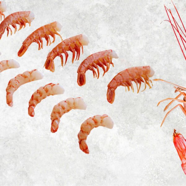 Frozen Argentina Red Shrimp