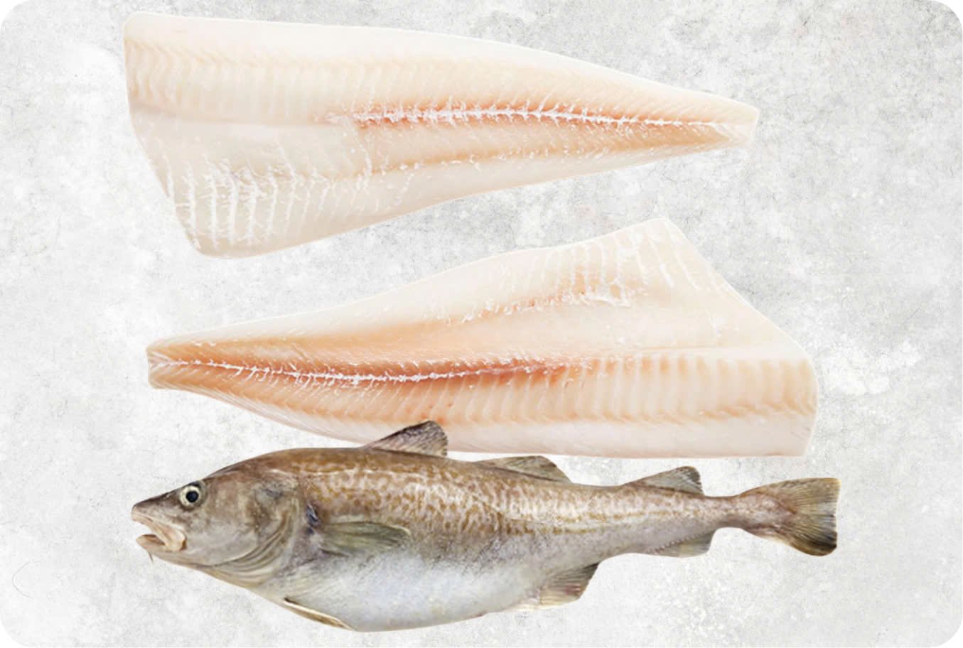 Frozen Atlantic And Pacific Cod Frozen Atlantic And Pacific Cod - Image 1
