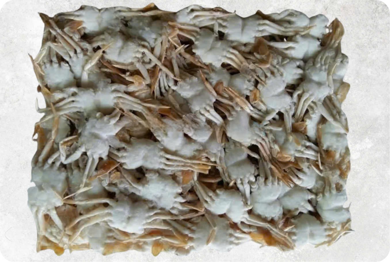 Frozen Baby Crab (Culi) Frozen Baby Crab (Culi) - Image 1