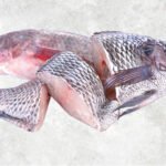 Frozen Black And Red Tilapia Steak