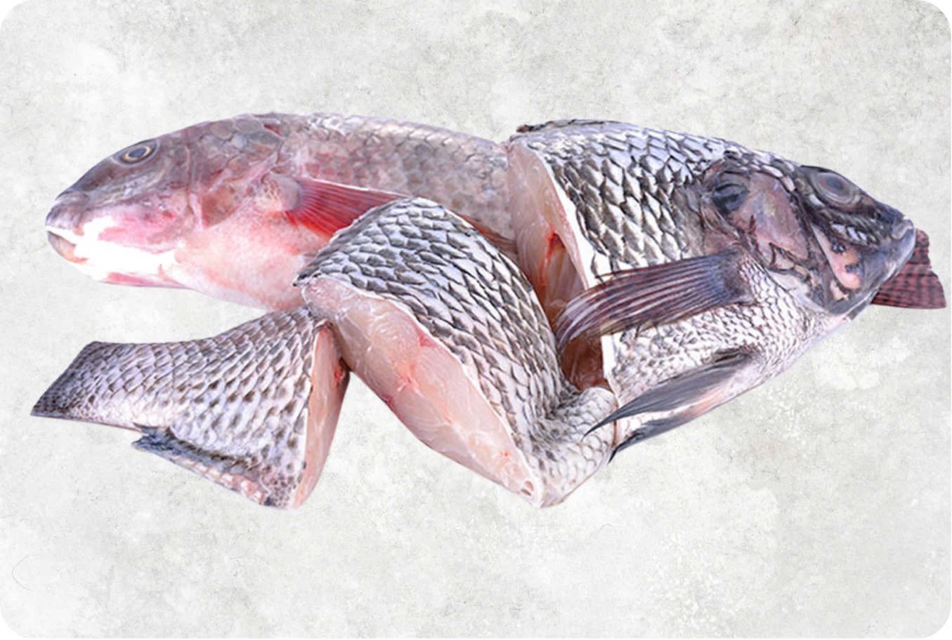 Frozen Black And Red Tilapia Steak Frozen Black And Red Tilapia Steak - Image 1
