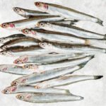 Frozen Black And White Anchovy Whole Round