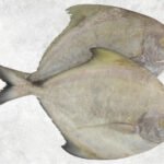 Frozen Black Pomfret Whole Round