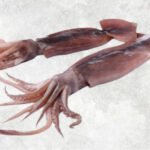 Frozen Black Squid Whole Round