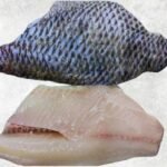 Frozen Black Tilapia Fillet Skin On