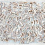 Frozen Blanched And Boiled Poulp Squid Dice Cut (Frozen Boiled Mada Cut)