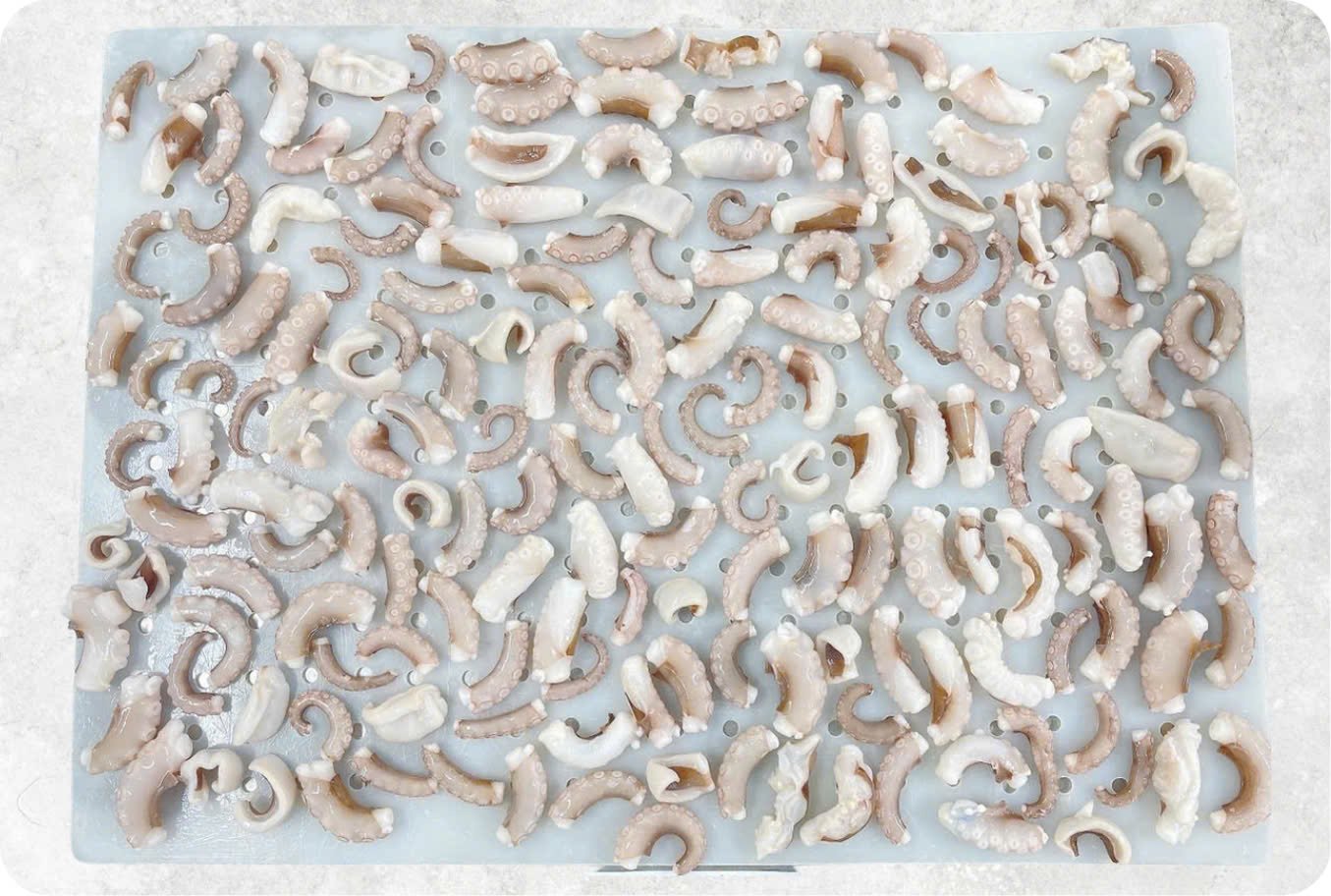 Frozen Blanched And Boiled Poulp Squid Dice Cut (Frozen Boiled Mada Cut) Frozen Blanched And Boiled Poulp Squid Dice Cut (Frozen Boiled Mada Cut) - Image 1