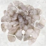 Frozen Broken Vannamei Shrimp Meat