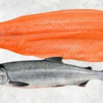 Frozen Chum Salmon