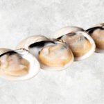 Frozen Cooked Half Shell White Clam