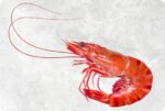 Frozen Cooked Hoso Black Tiger Shrimp