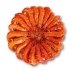 Frozen Cooked Hoso Black Tiger Shrimp - Image 3