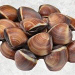 Frozen Cooked Whole Shell Brown Clam