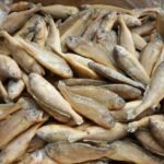 Frozen Croaker Surimi (Frozen Guchi Surimi)