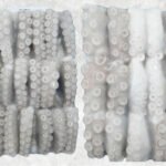 Frozen Cut Poulp Squid Block (Frozen Mada Cut Block)
