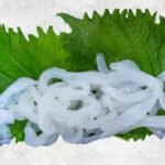 Frozen Cuttlefish Somen