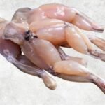 Frozen Frog Legs Classic Style