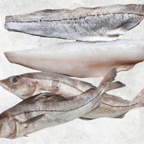 Frozen Haddock