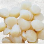 Frozen Hokkaido Scallop Meat