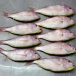 Frozen Itoyori Surimi