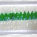 Frozen Loligo Squid Fillet Slice Sushi