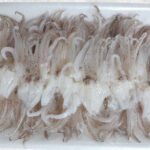 Frozen Loligo Squid Tentacles Sushi