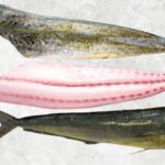 Frozen Mahi Mahi Fillet Skin On And Skinless