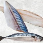 Frozen Norway And Japanese Mackerel
