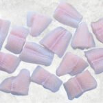 Frozen Pangasius Portion (Swai Fish)