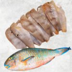 Frozen Parrot Fish Whole Clean (Parrotfish)
