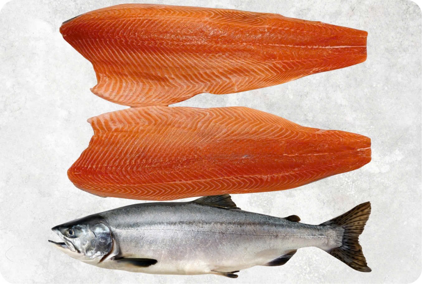 Frozen Pink Salmon Frozen Pink Salmon - Image 1
