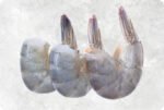 Frozen Raw HLSO Vannamei Shrimp - Image 2