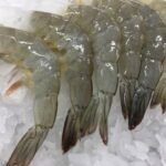 Frozen Raw HLSO Vannamei Shrimp