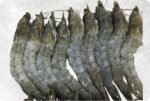 Frozen Raw HOSO Body Peel Vannamei Shrimp
