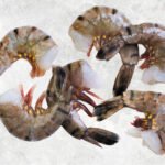 Frozen Raw Hlso And Hlso Ezp Black Tiger Shrimp