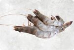 Frozen Raw Hoso Butterfly Black Tiger Shrimp