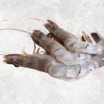 Frozen Raw Hoso Butterfly Black Tiger Shrimp