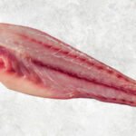 Frozen Red Drum Fillet