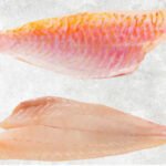 Frozen Red Mullet Fillet