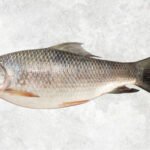 Frozen Rohu Whole Clean